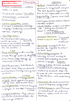 Examples (Ethics and essay).pdf